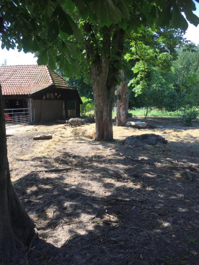 HolslootDe Distelweide住宿加早餐旅馆 外观 照片