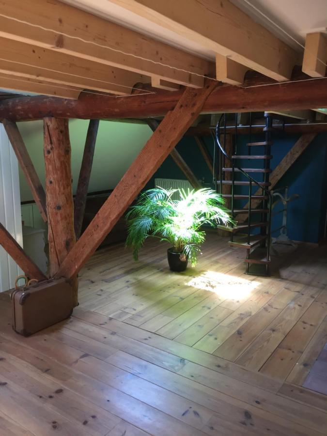 HolslootDe Distelweide住宿加早餐旅馆 外观 照片